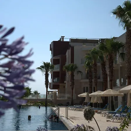 Sundance טורגוטריס