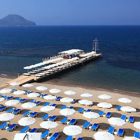 Sundance Turgutreis