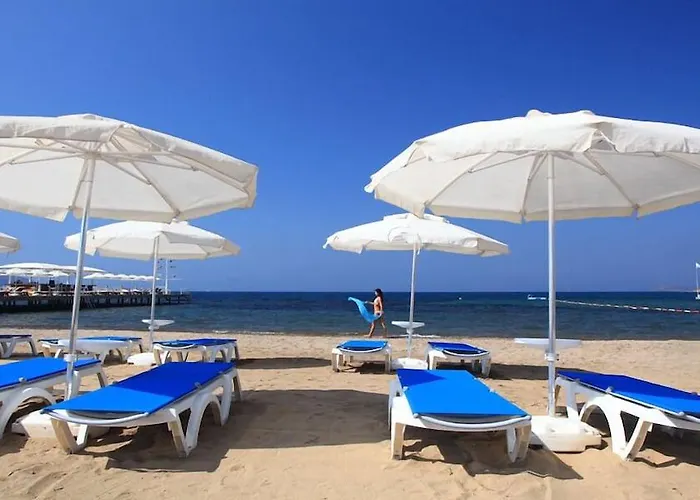 Hotell Sundance Turgutreis