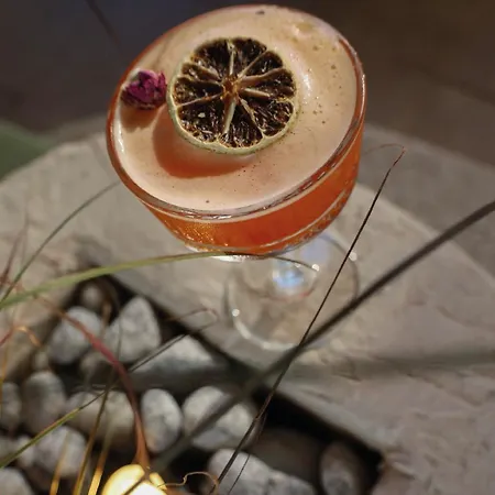 圣丹斯套房酒店 4* 图尔古特雷斯