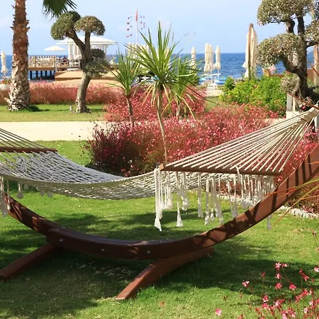 Sundance Turgutreis